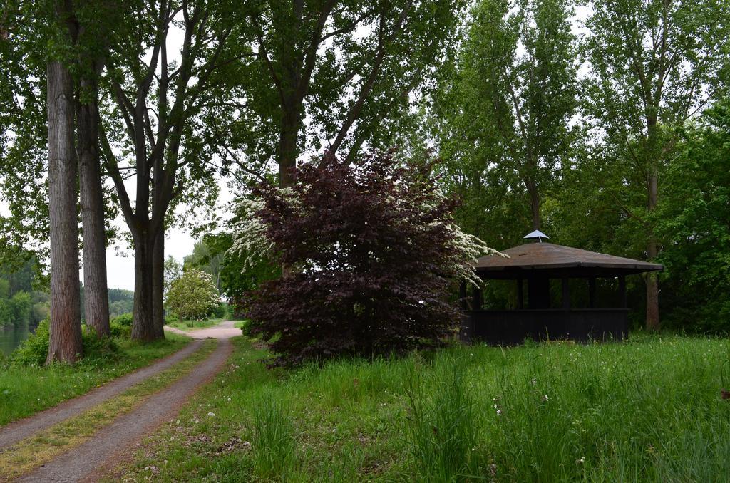 Zwei Raben Pension Mainz Eksteriør billede