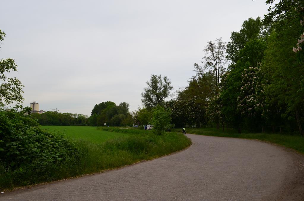 Zwei Raben Pension Mainz Eksteriør billede